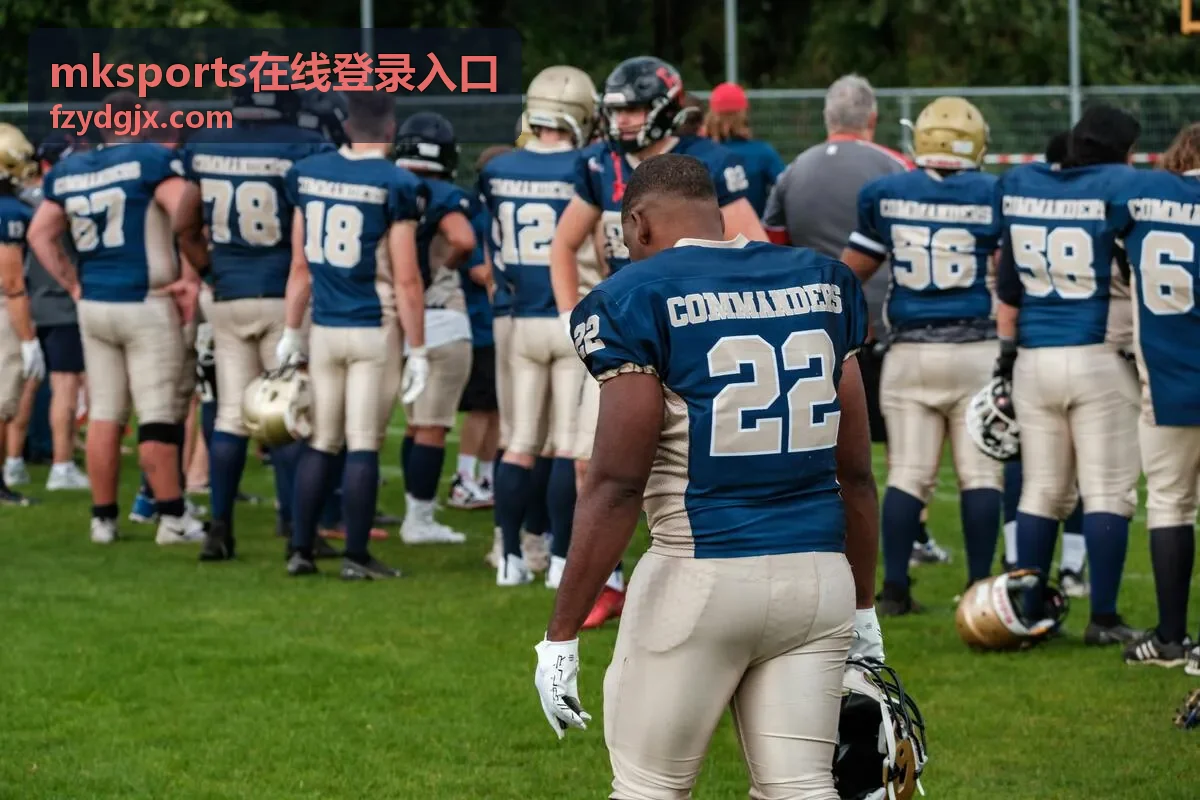 mksports在线登录入口数据看板统计记录界面示意
