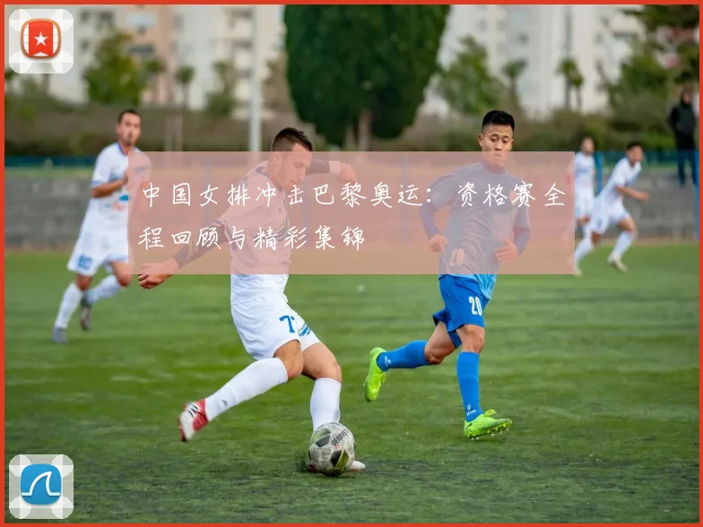 中国女排冲击巴黎奥运:资格赛全程回顾与精彩集锦