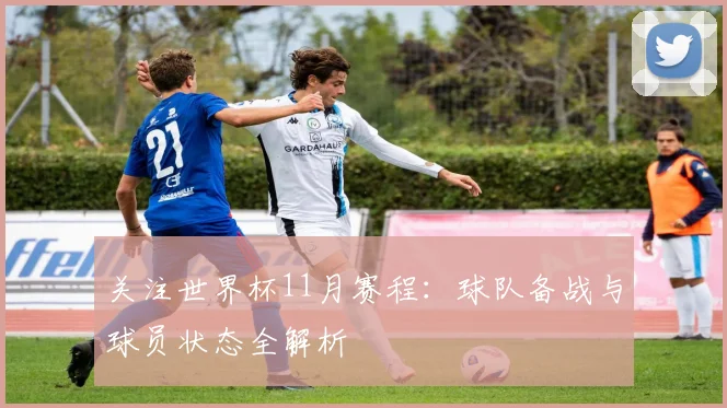关注世界杯11月赛程：球队备战与球员状态全解析
