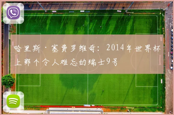 哈里斯·塞费罗维奇：2014年世界杯上那个令人难忘的瑞士9号