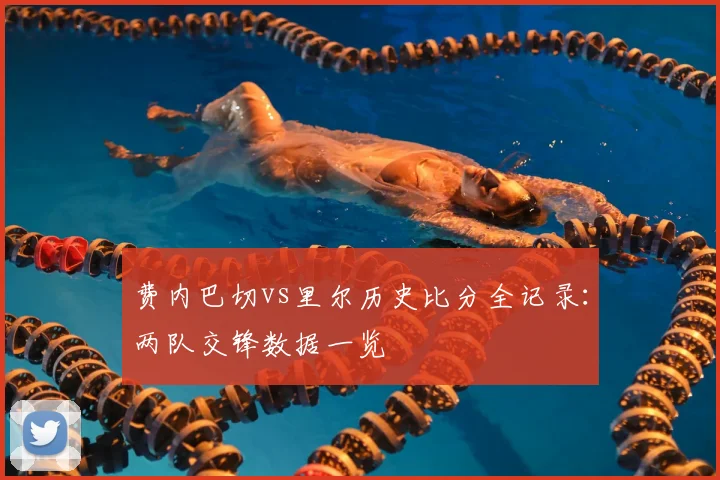 费内巴切vs里尔历史比分全记录：两队交锋数据一览