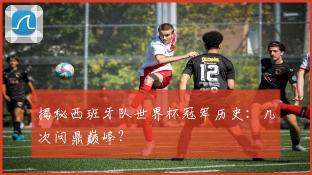 揭秘西班牙队世界杯冠军历史：几次问鼎巅峰？
