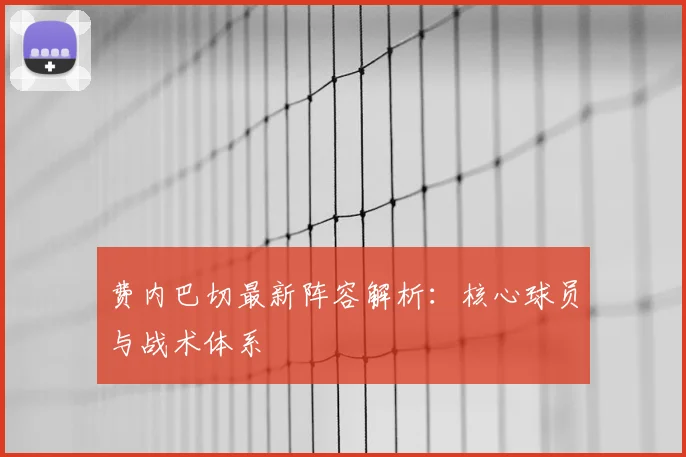 费内巴切最新阵容解析：核心球员与战术体系
